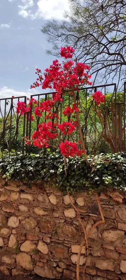 Bed & Breakfast B&B Akropolis Taormina Italy